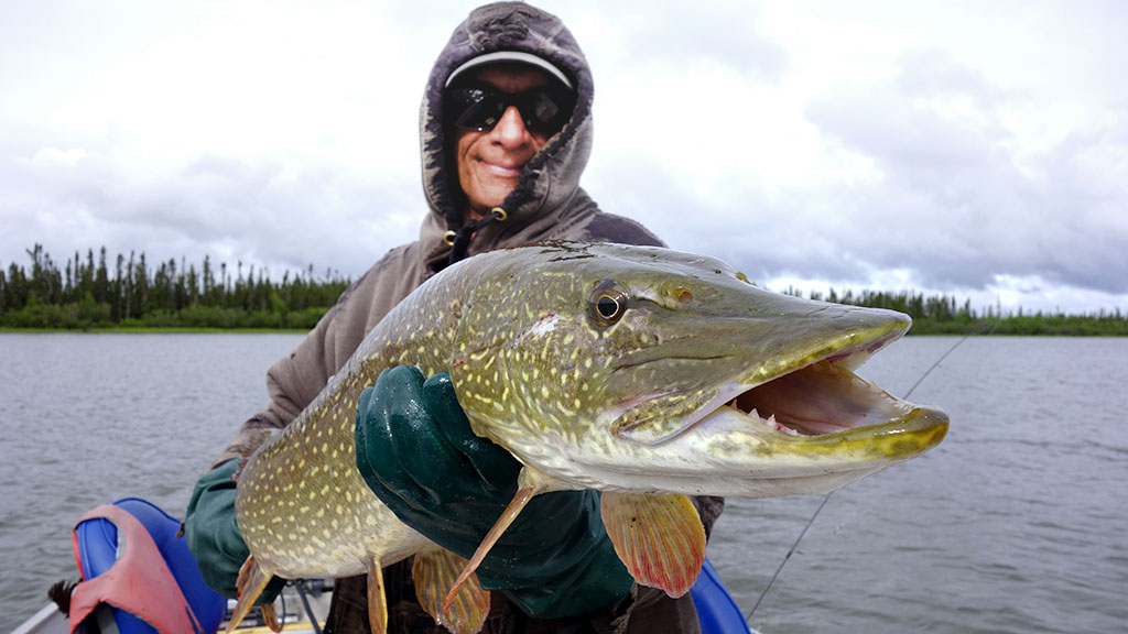 Reel in a trophy catch with these topwater lures for northern pike